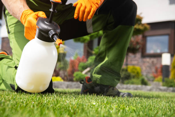 Best Best Pest Control Companies  in Cumberland, IN