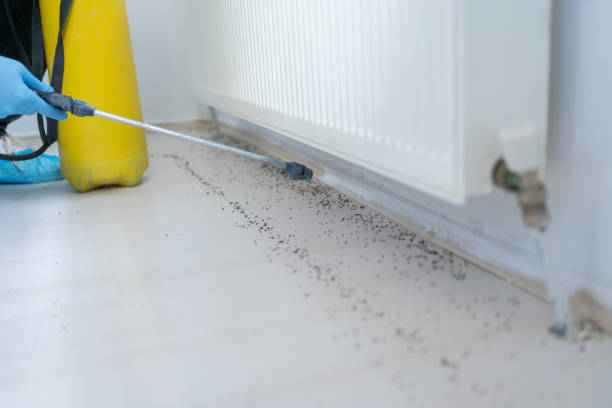 Best Exterminator Services  in Cumberland, IN