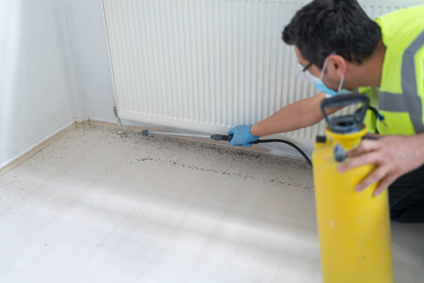 Best Bed Bug Extermination  in Cumberland, IN